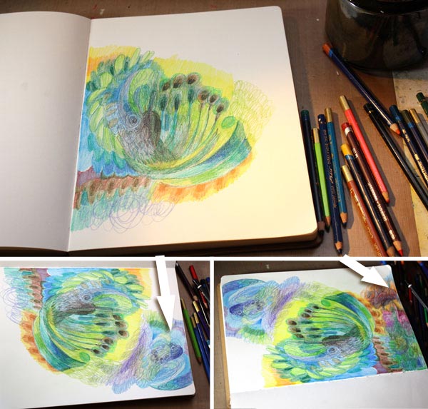 Four easy techniques to express yourself with colored pencils by Peony and Parakeet : Rotating the page.