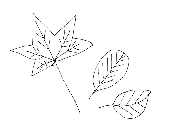 three leaves , a stick figure drawing