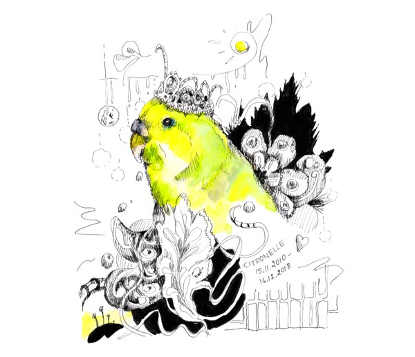 Citronelle, a drawing by Paivi Eerola from Peony and Parakeet