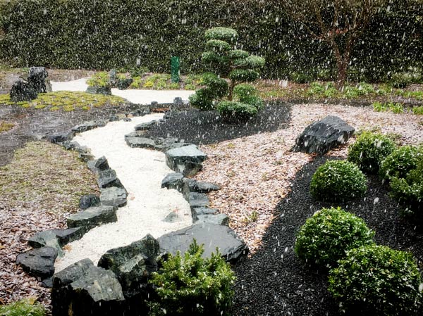 Snowing in a Japanese garden.