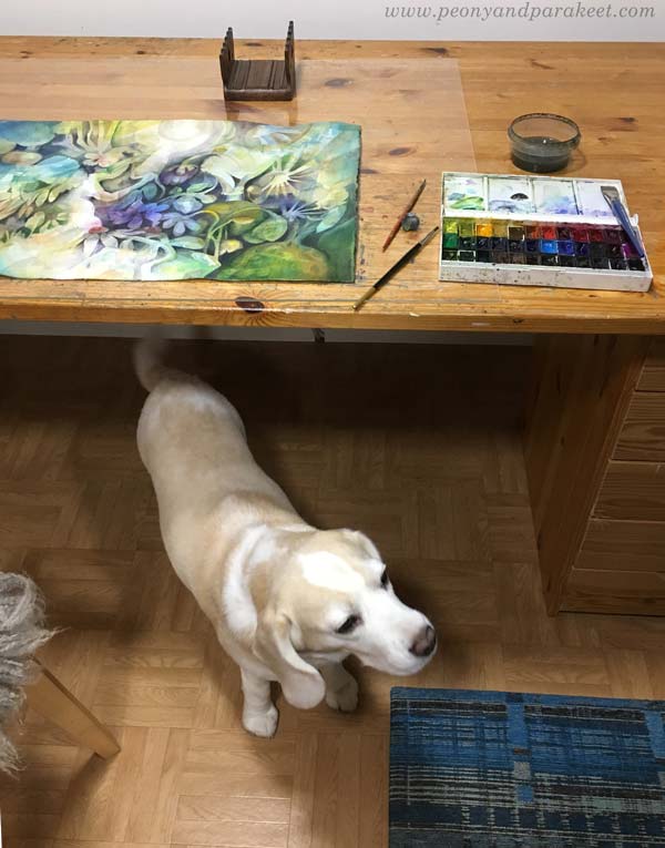 Watercolor painting session in a studio. A studio dog is watching.