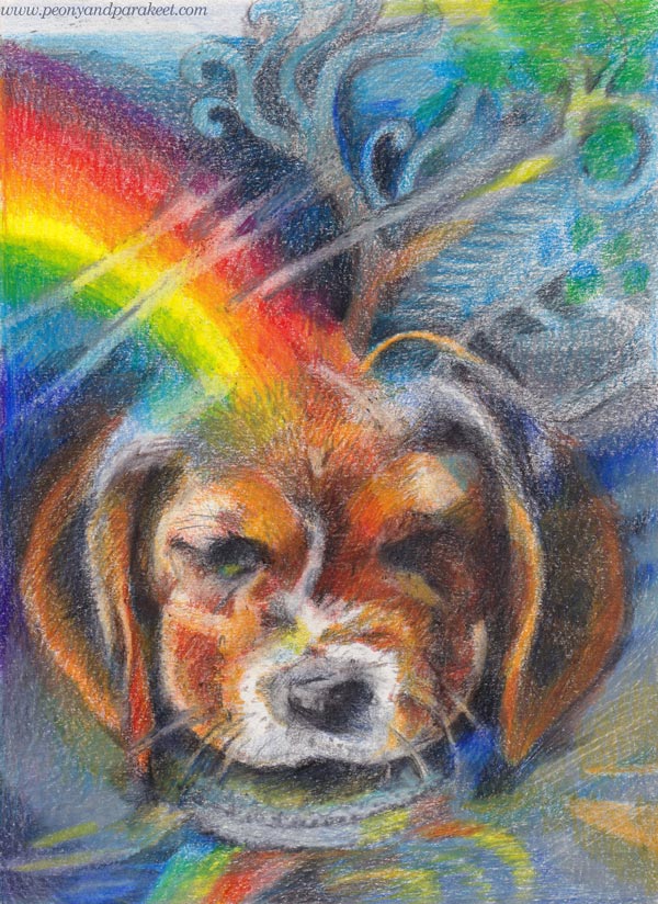 A beagle puppy in colored pencils. By Paivi Eerola of Peony and Parakeet.